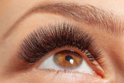 Open Eyes with Long Eyelashes False Extensions. Treatment of Eyelash Extension. Lashes. 