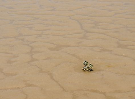 Abandoned and sinking childs stroller or pushchair in sandy mud of riverbank