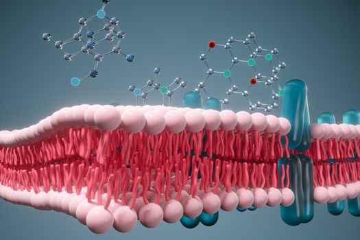 Cell membrane and biology, biological concept, 3d rendering. Computer digital drawing.