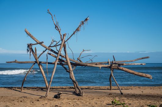 Driftwood structure on Hanalei beach with a surfer visible behind wood