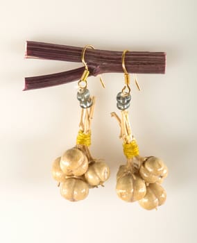 earrings are hanging on a branch on white background