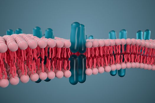 Cell membrane and biology, biological concept, 3d rendering. Computer digital drawing.