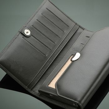 Fashionable designer wallet on a green background