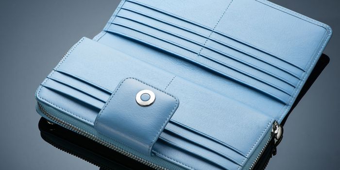 Fashionable designer leather women's wallet on a blue background