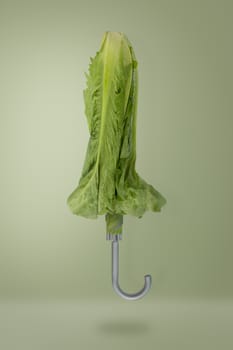 Contemporary art-Green umbrella from vegetable on green background with copy space, Minimal idea style.