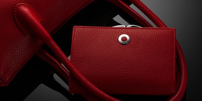Fashionable red women's bag and purse on a dark background