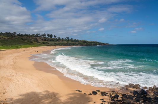 Panoramic of Donkeys or Paliku beach on the coast of Kauai in Hawaii