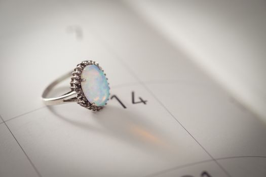 Calendar page with the Opal Ring on February 14 of Saint Valentines day, AF point selection.