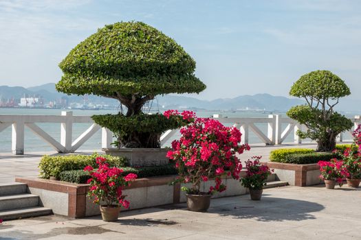 XIAMEN, CHINA - OCTOBER 30, 2018: Promenade on pedestrian zone island of Gulangyu