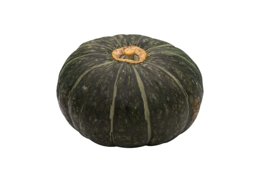 Green pumpkin isolated on the white background .