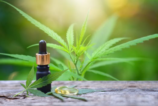 marijuana, Cannabis, Hemp oil bottle of CBD hemp. Green nature background. concept of medical marijuana in the treatment of diseases. Refining CBD hemp oil into herbal medicine used to treat diseases.