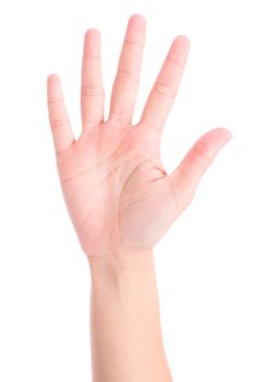 woman's hand is counting number 5 or Five isolated on white  background. The concept of hand symbols in counting numbers in order to communicate using gestures.