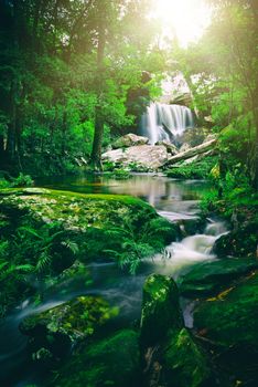 Amazing in nature. beautiful waterfall at colorful autumn forest green forest river stream.
