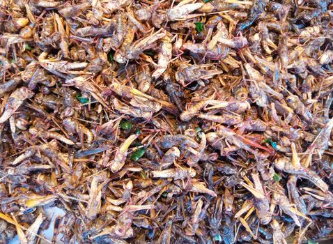 Fried insects, grasshoppers and larvae at street food market, Thailand.