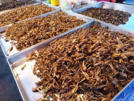 Fried insects, grasshoppers and larvae at street food market, Thailand.