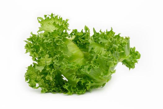 Fresh Green Oak Lettuce Leaves Isolated on White background.