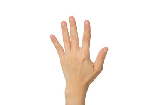 hand showing the five fingers isolated on a white background