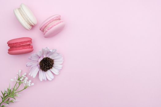 macarons on pink background, Beautiful dessert, Flat lay style with copy space to write.