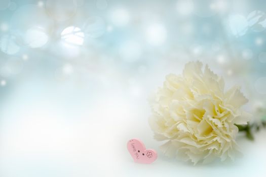 The white flower on abstract bokeh background in love concept for valentines day with romantic moment.