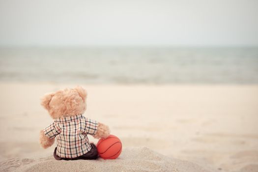 Teddy Bear with a basketball by the sea with copy space to write.