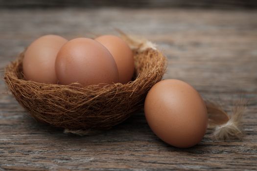 Still life-Eggs on nest arranged in a rustick scene, Egg is beneficial to the body, Food concept.