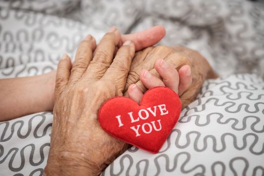 Hands of an elderly woman holding a red heart. Love in family concept.