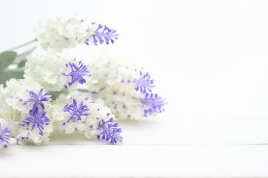 Lavender flowers on white wood table background