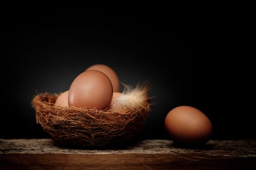 Still life-Eggs on nest arranged in a black scene, Egg is beneficial to the body, Food concept. Dark tone picture.