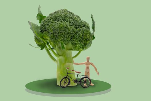 Illustration of wooden dummy stand under brocoli's tree and bicycle on isolated blue background, Idea concept picture for healthy.