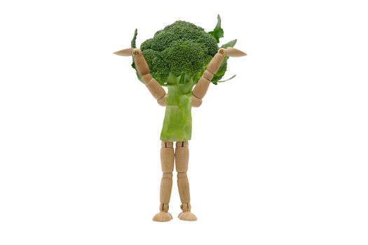 Illustration of Human vegetable Broccoli on isolated white background.