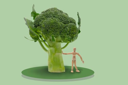Illustration of wooden dummy stand under brocoli's tree on isolated blue background, Idea concept picture for healthy.