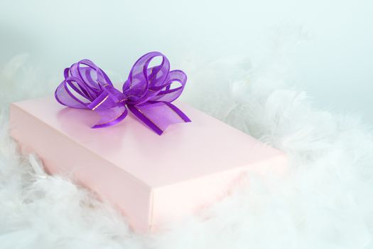 Gift box on white feather, Open space for write, AF point and blur selection.