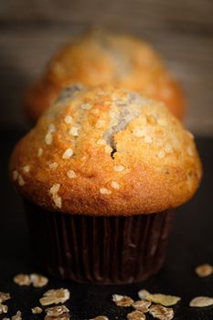 Still life  of line up blueberry muffins in a rustic style. Select the focus point. Vertical picture.