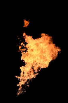 fire burning isolated with black background