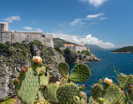 Panorama of the cliffside under Fort Lawrence and city walls of the old town in Dubrovnik