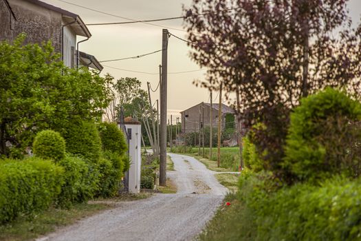 Countryside dirty road at sunset in Italy in spring time