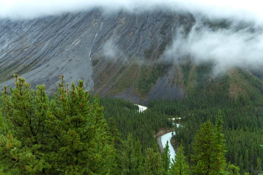 Mistaya Canyon on a foggy day showing turquoise river, Alberta, Canada