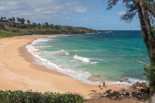 Tourists on Donkeys or Paliku beach on the coast of Kauai in Hawaii