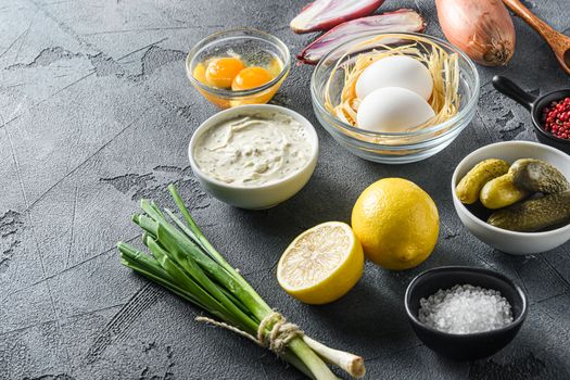 Organic sauce Tartar with ingredients eggs capers,vegetables, herbs and spices on an grey stone textured table side view space for text.