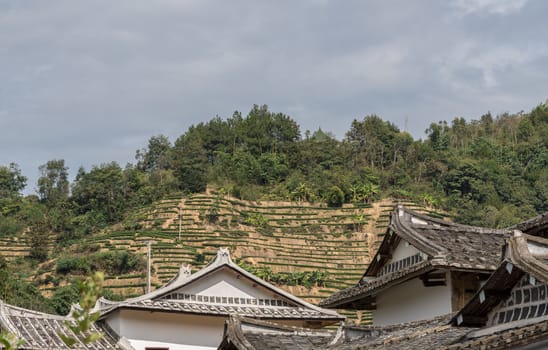 Tea plantations around Tulou at Unesco heritage site near Xiamen