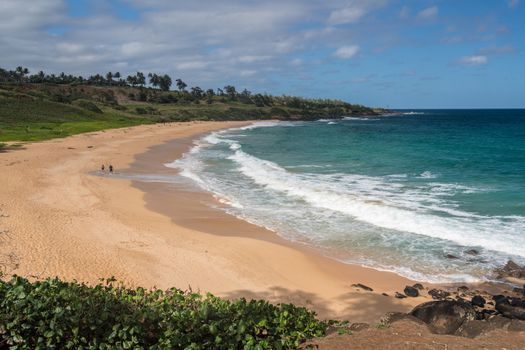 Panoramic of Donkeys or Paliku beach on the coast of Kauai in Hawaii