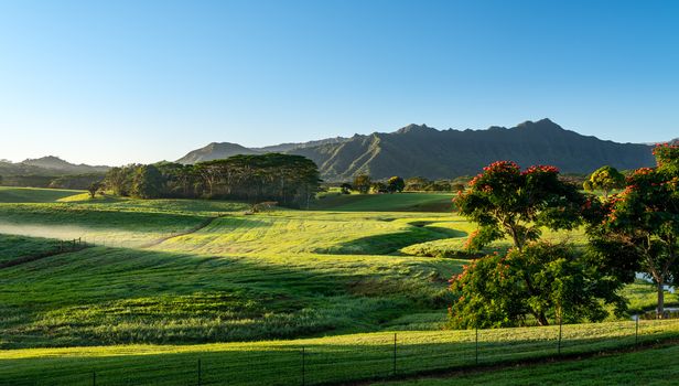 Flowering trees frame view of the Na Pali mountains over fairy tale landscape of Kauai