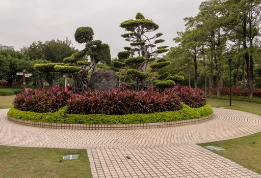 Ornamental trees and bushes being carved into shape in Bailuzhou Park, Xiamen