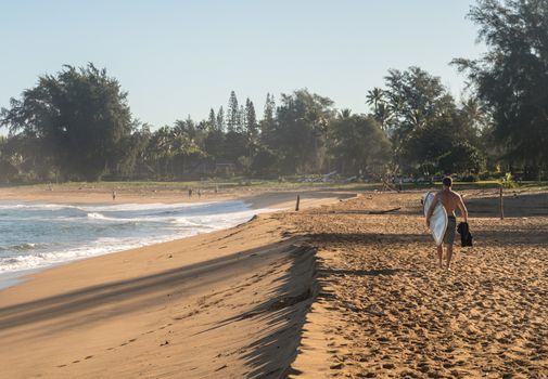 Backlit man carrying surf board across the sandy beach to the ocean in Kauai Hawaii