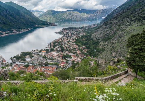 Aerial view of Dobrota and Kotor from hike to Fortress