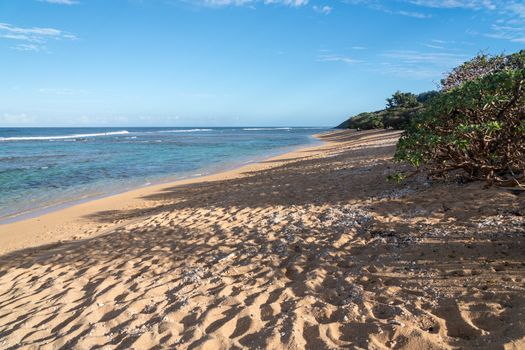 Deserted sandy Larsen's Beach near Pakala point on Kauai