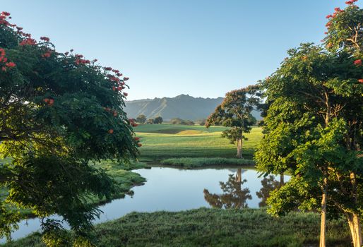 Flowering trees frame view of the Na Pali mountains over fairy tale landscape of Kauai