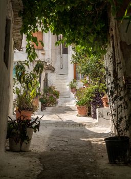 Narrow steps in ancient neighborhood of Anafiotika in Athens by the Acropolis