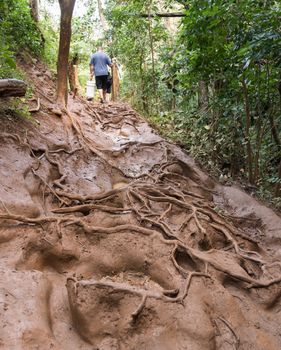 Very slippery and muddy pathway from Princeville to Queens Bath on coast of Kauai in Hawaii