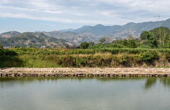 Tea plantations around stone home by Tulou at Unesco heritage site near Xiamen